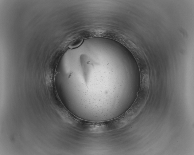 X0000112480274200908311417