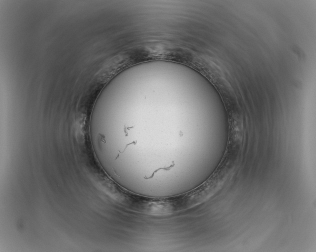 X0000112480275200908311417