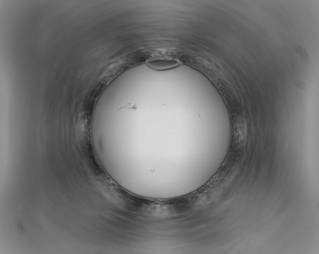 X0000112480276200908311417