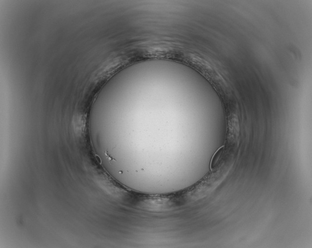 X0000112480278200908311417