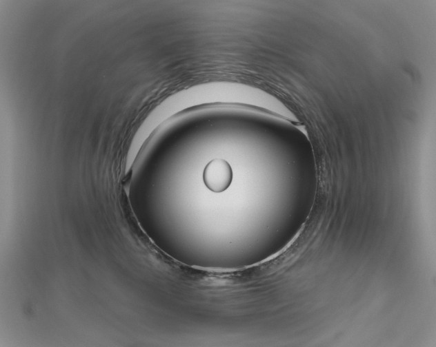 X0000112480280200908311417