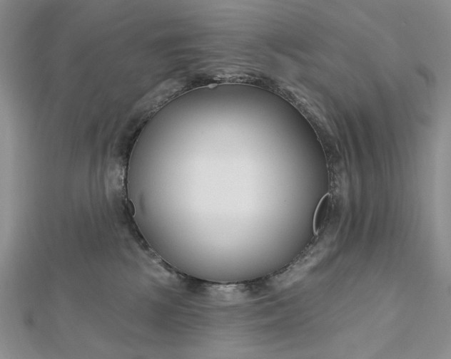 X0000112480281200908311417