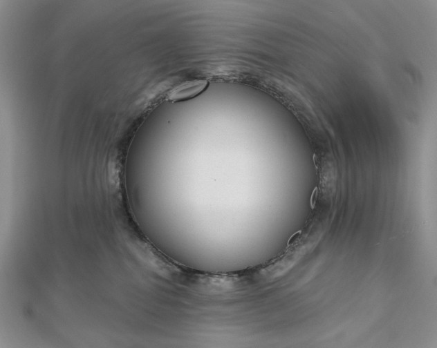 X0000112480282200908311417