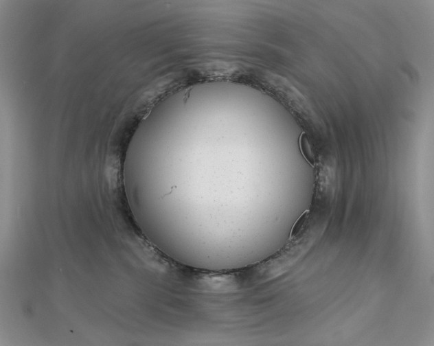 X0000112480283200908311417