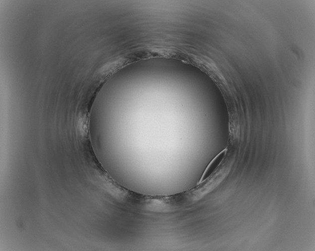 X0000112480285200908311417