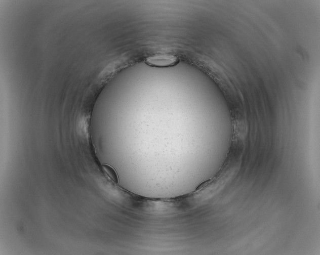 X0000112480286200908311417