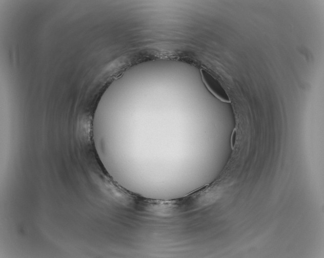 X0000112480288200908311417