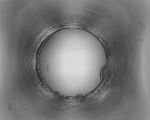 X0000112480290200908311417