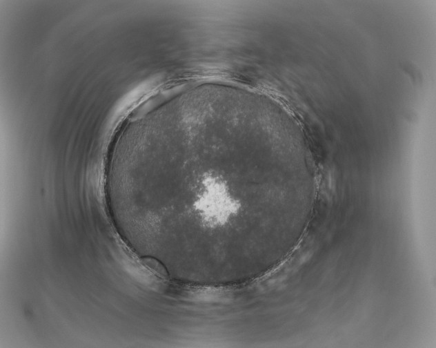 X0000112480293200908311417