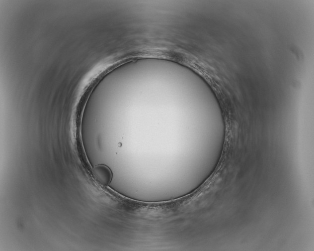 X0000112480294200908311417