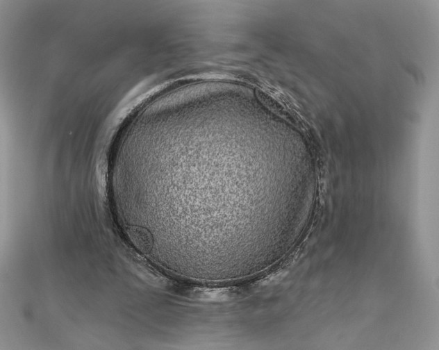 X0000112480295200908311417