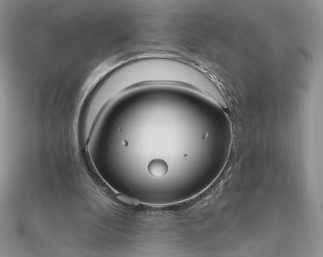 X0000112480296200908311416