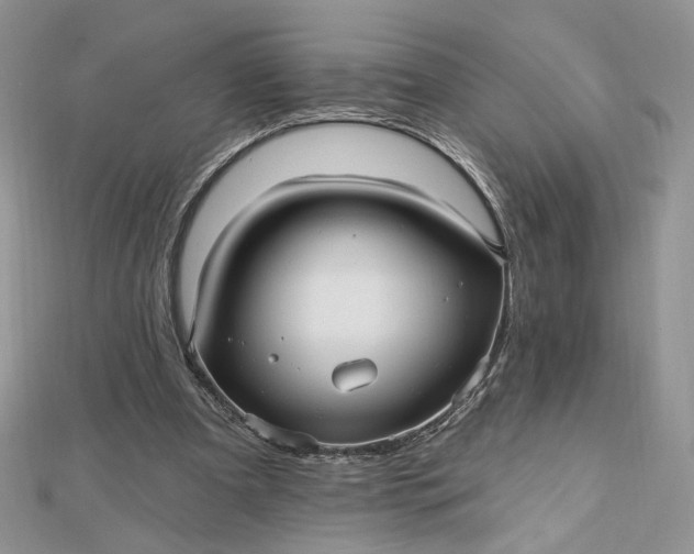 X0000112480297200908311416