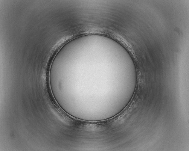 X0000112480298200908311416