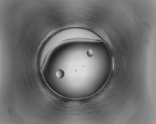 X0000112480300200908311416