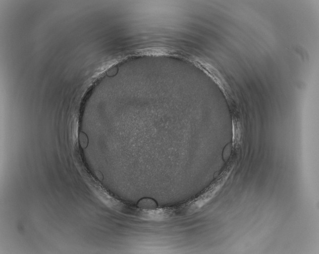 X0000112480301200908311416