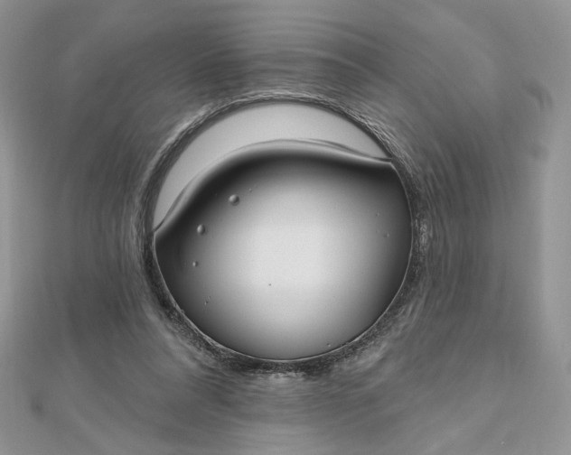 X0000112480304200908311416