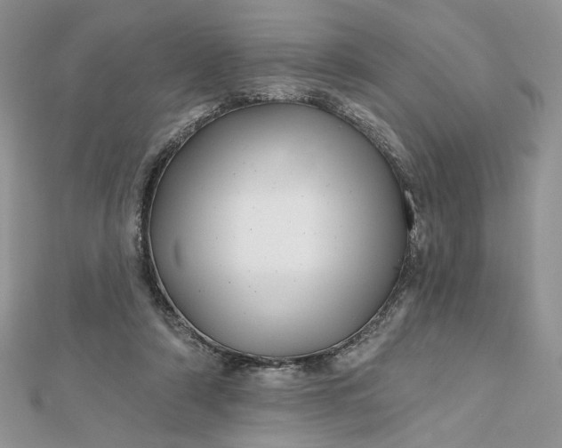 X0000112480306200908311416