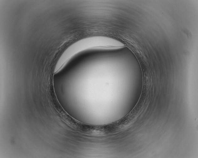 X0000112480308200908311416