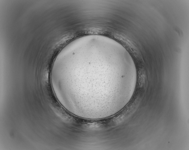 X0000112480310200908311416