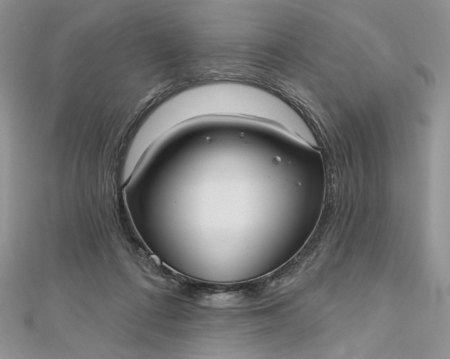 X0000112480312200908311416