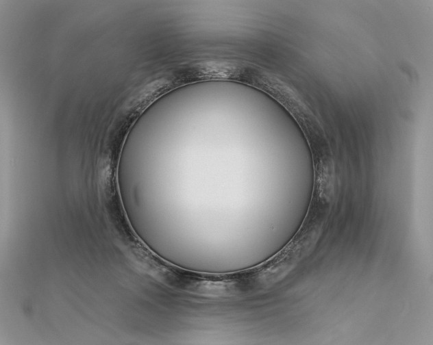 X0000112480314200908311416