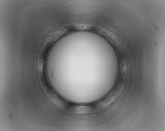 X0000112480315200908311416