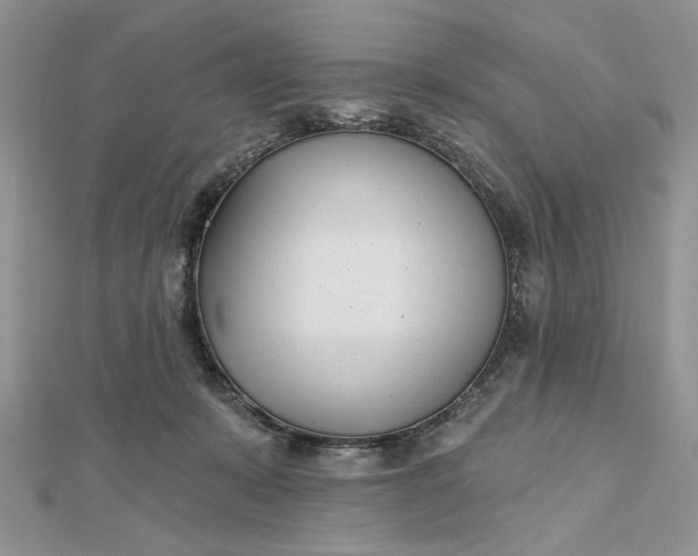 X0000112480319200908311416