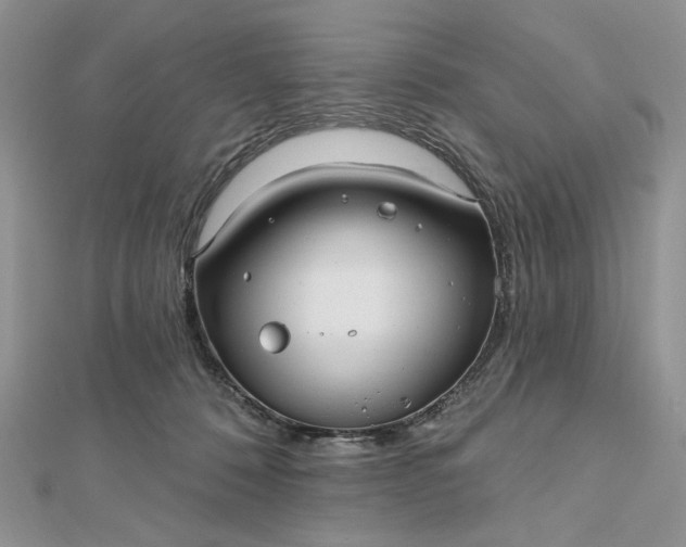 X0000112480320200908311416