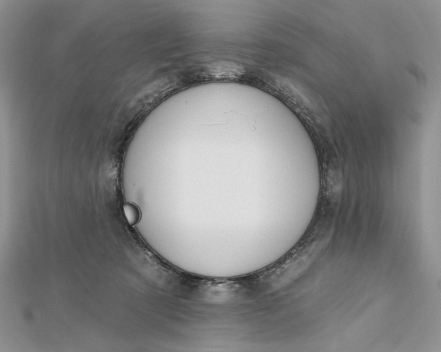 X0000112480321200908311416