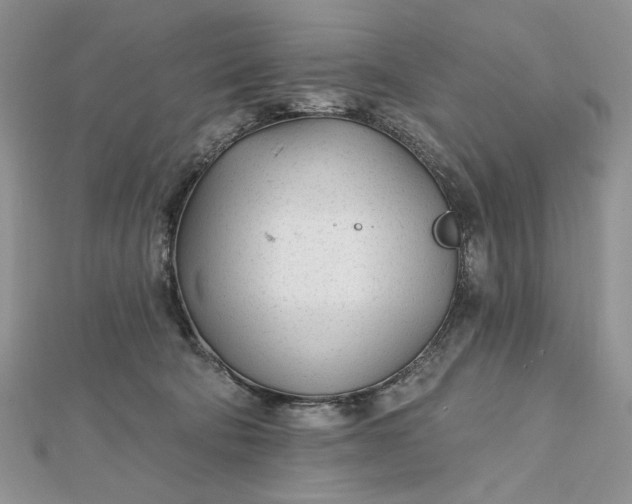 X0000112480322200908311416