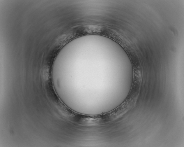 X0000112480323200908311416