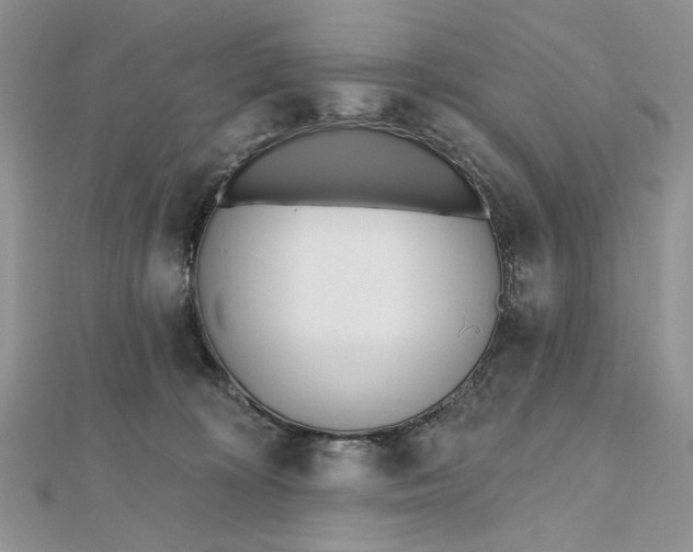 X0000112480324200908311416