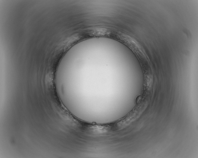 X0000112480326200908311416