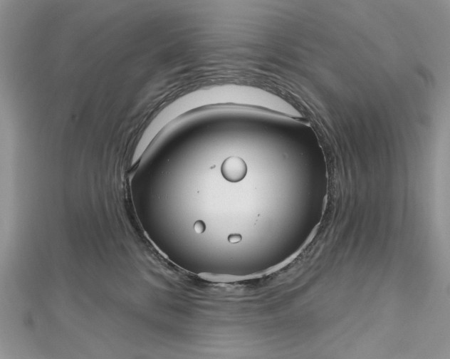 X0000112480328200908311416