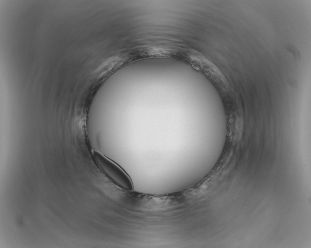 X0000112480329200908311416