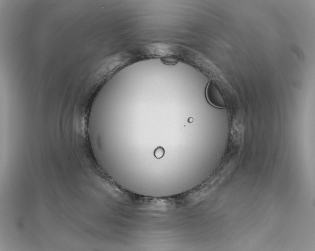 X0000112480330200908311416