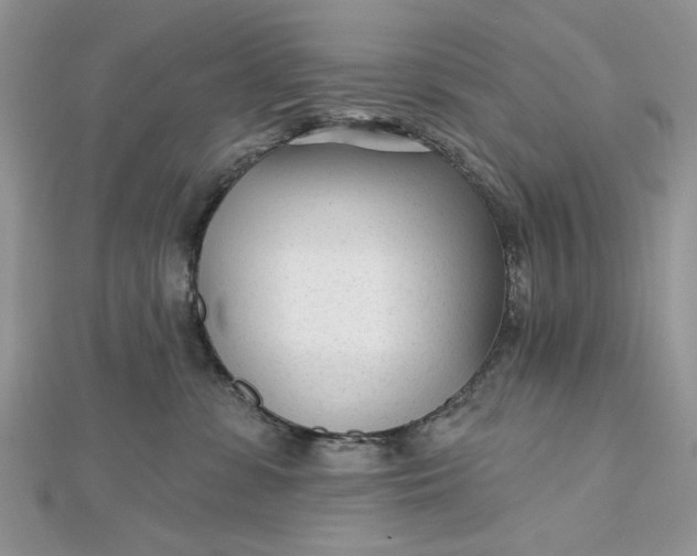 X0000112480331200908311416