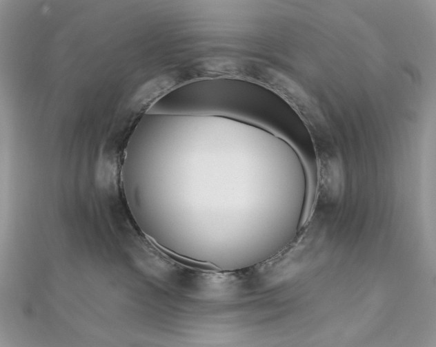 X0000112480333200908311416