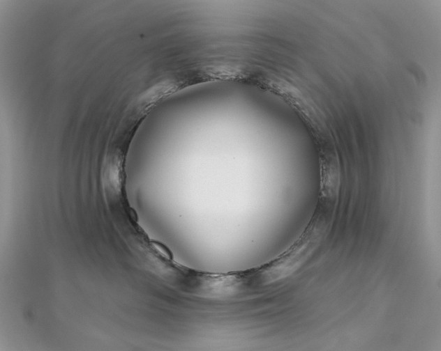 X0000112480334200908311416