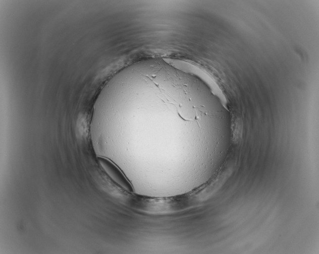 X0000112480335200908311416