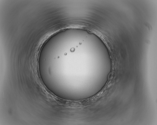 X0000112480337200908311415