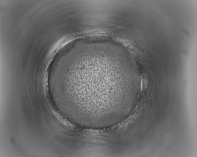 X0000112480339200908311415