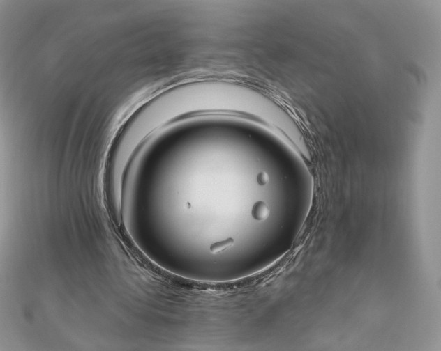 X0000112480340200908311415