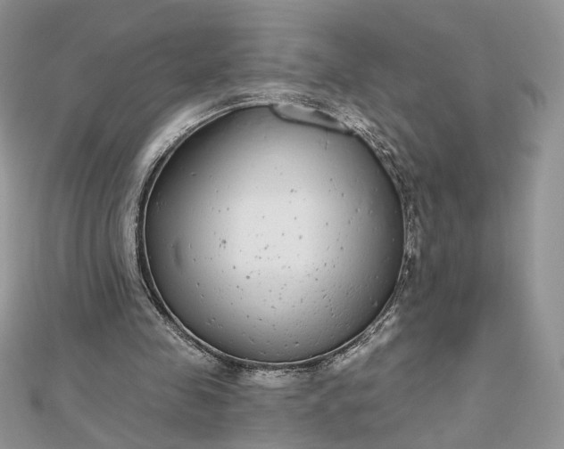 X0000112480341200908311415