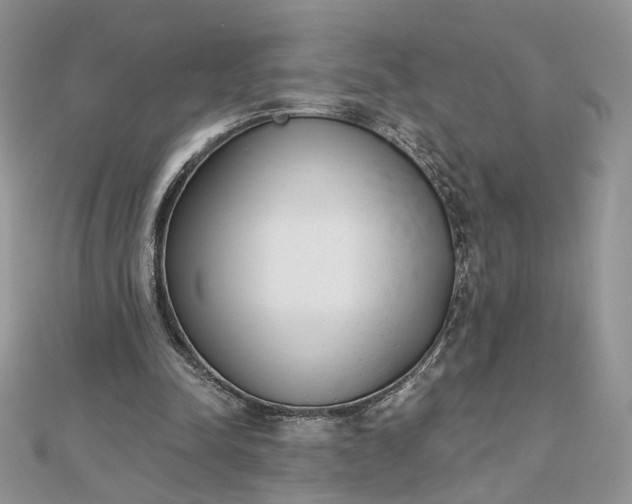 X0000112480342200908311415