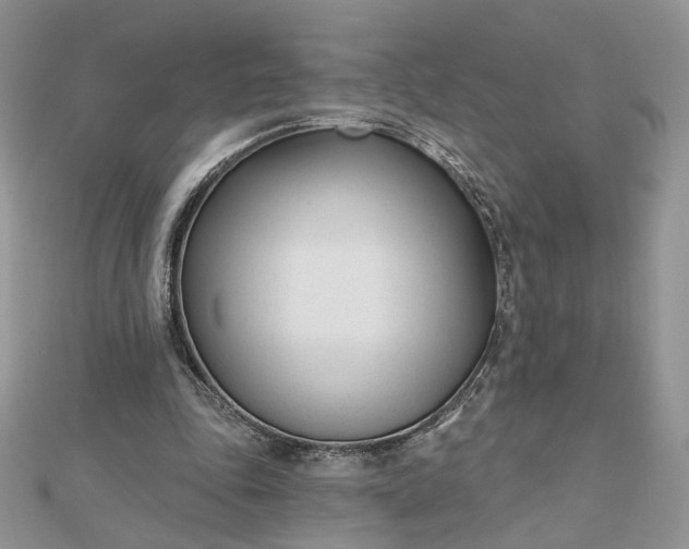 X0000112480343200908311415