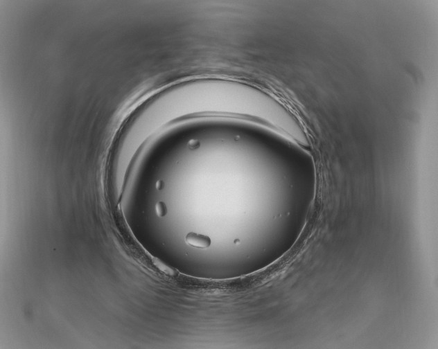 X0000112480344200908311415