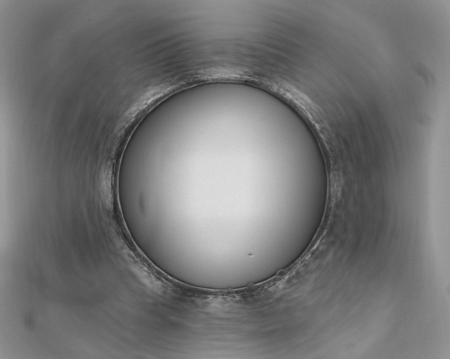 X0000112480345200908311415