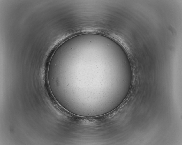 X0000112480346200908311415